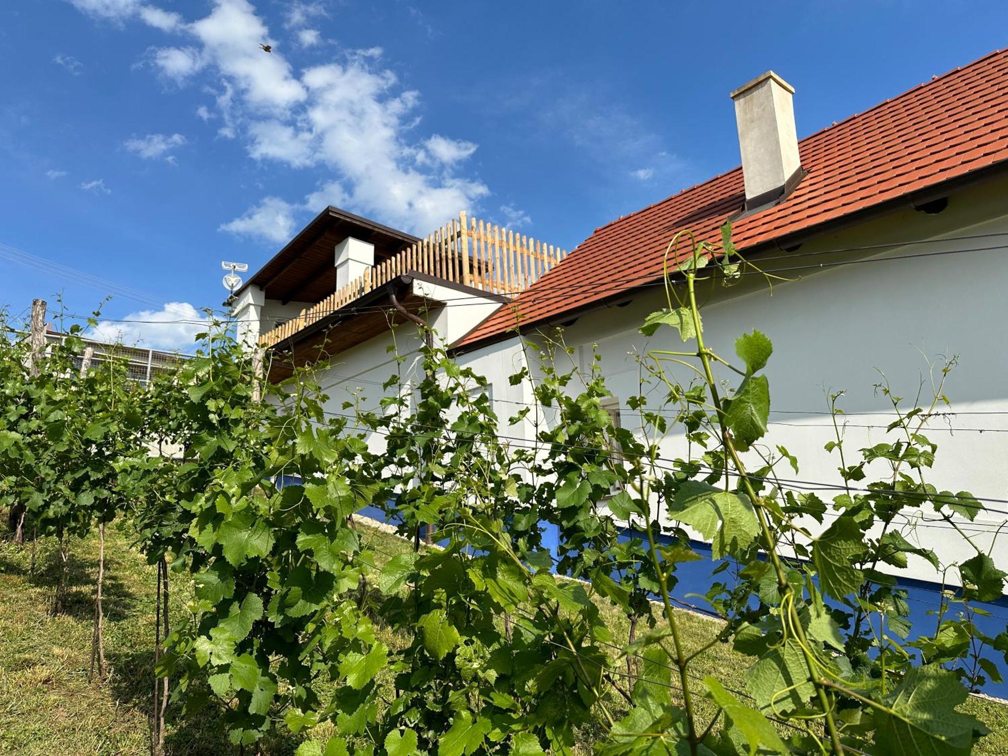 Nad Slovackym Sklipkem Villa Tupesy Kültér fotó